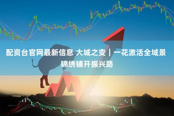 配资台官网最新信息 大城之变｜一花激活全域景 锦绣铺开振兴路